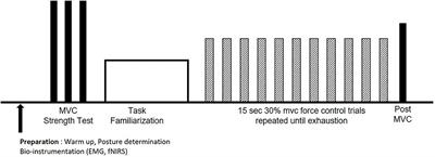 Revealing Sex Differences During Upper and Lower Extremity Neuromuscular Fatigue in Older Adults Through a Neuroergonomics Approach